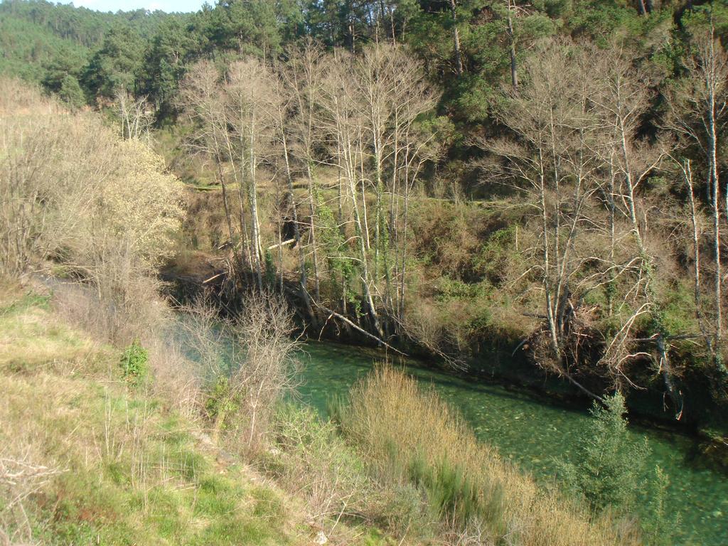 Quinta Das Levadas - Country House & Nature Alvoco das Várzeas Extérieur photo
